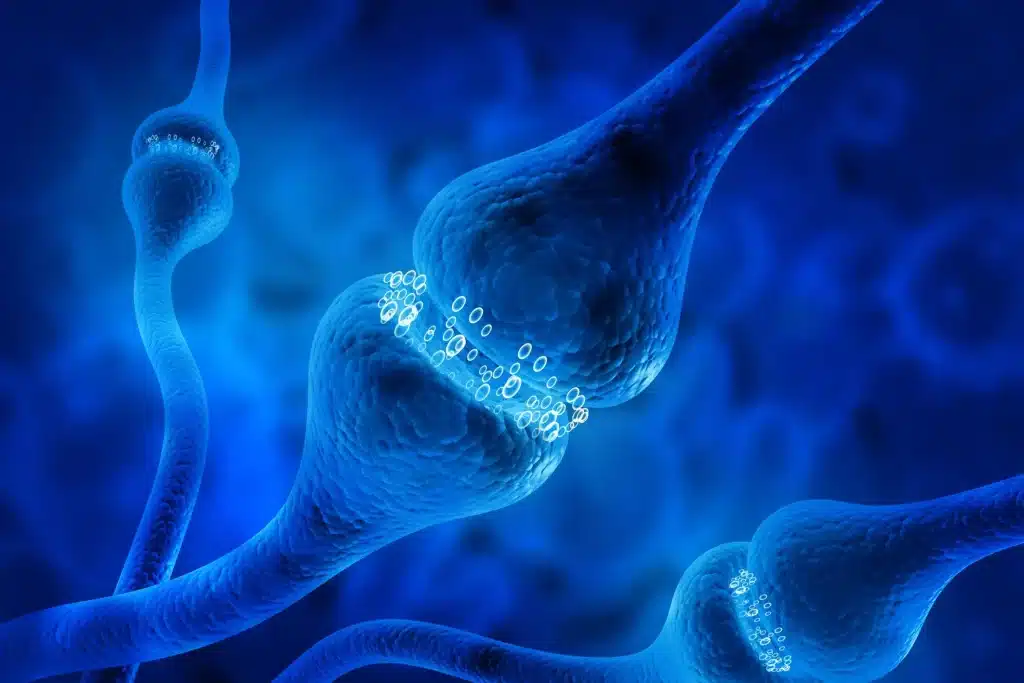 Représentation de plusieurs connexions entre neurones avec des particules dans les espaces synaptiques.
